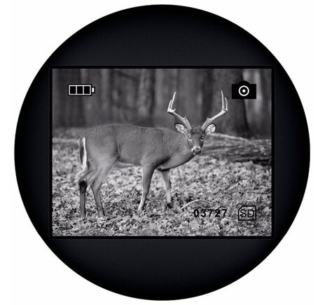 Levenhuk Atom Digital DNM100 | Digitálny monokulár s nočným videním, image-11