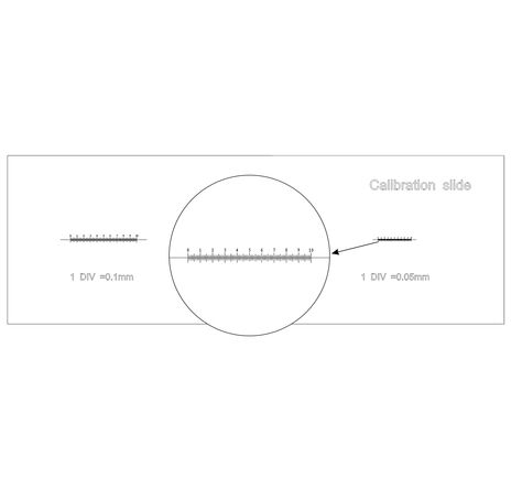 Levenhuk 3 Calibration Slide, image-5