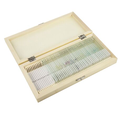 Omegon Dauerpräparate Set 40 Stück in Holzbox