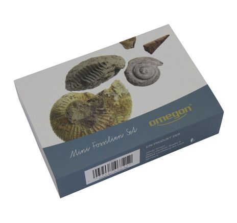 Omegon Mini Fossil Set