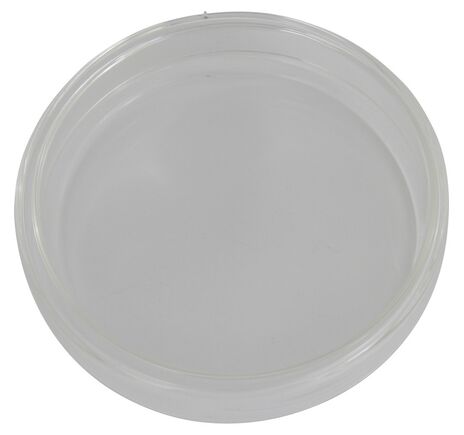 Omegon Petrischale 100 mm Glas mit Deckel