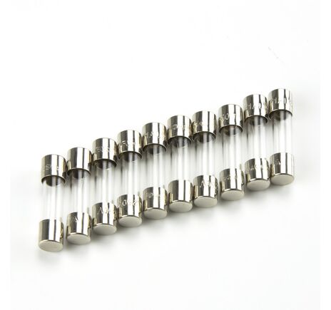 Euromex Feinsicherungen F 1 Ampère, 10 Stück