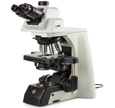 Euromex Mikroskop DX.1158-PLi, trinokulárny, infinity, 10x/25, plan, 40x–1000x, LED 3W