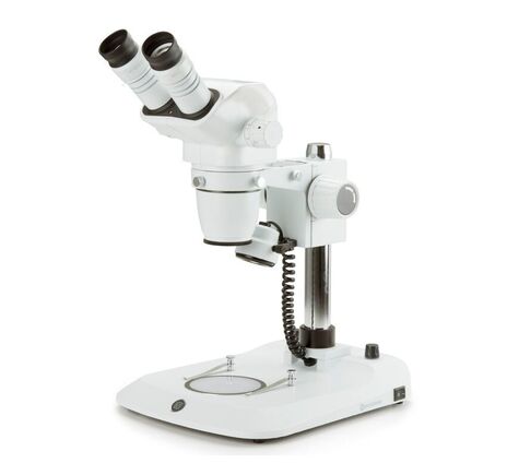 Euromex Zoom-stereomikroskop NexiusZoom ESD NZ.1902-P-ESD, so stĺpovým stojanom, 6.7–45x, binokulárny
