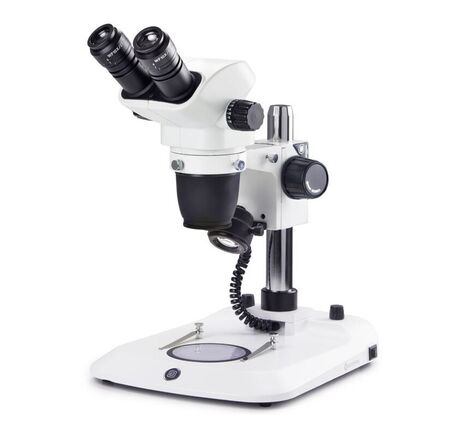 Euromex Zoom-stereomikroskop NexiusZoom EVO NZ.1702-P, 6.5–55x, stĺpový stojan, LED 3W, binokulárny