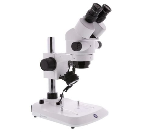 Euromex Zoom-stereomikroskop StereoBlue SB.1902-P, zoom, stĺpový stojan, binokulárny, 0.7–4.5x