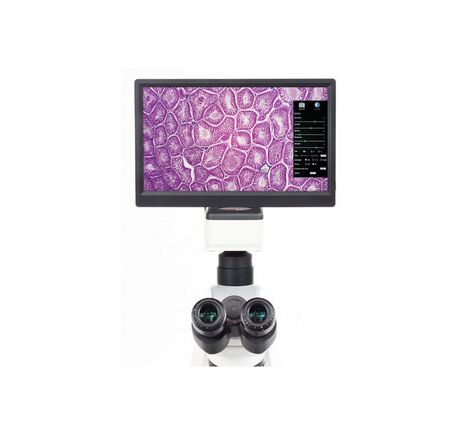Motic Kamera 1080 BMH, color, CMOS, 1/2.8", 8MP, HDMI, USB 2