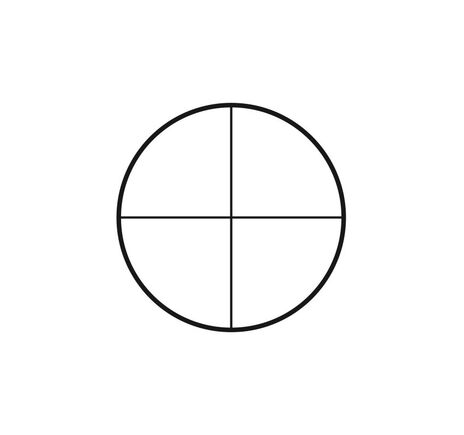 Motic Mikrometerstrichplatte , Strichplatte Fadenkreuz (Ø25mm)
