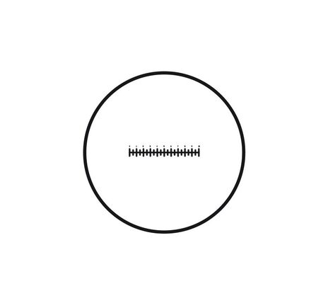 Motic Mikrometerstrichplatte Strichplatte Skala (10mm in 100 Teilen), (Ø25mm)