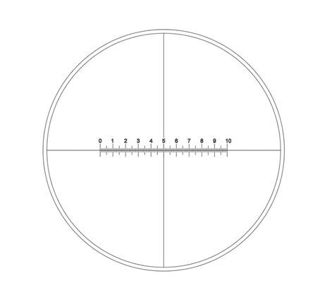 Motic Mikrometerstrichplatte Strichplatte mit Skala (10mm in 100 Teilen) und Fadenkreuz (Ø19mm)
