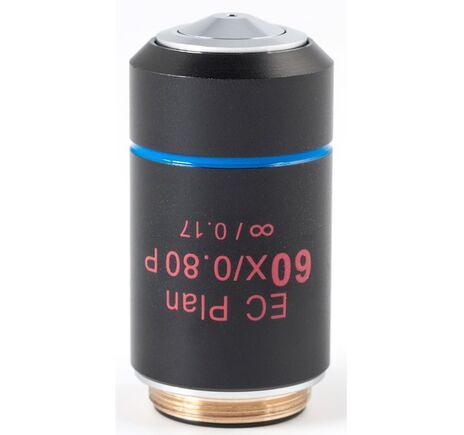 Motic Objektiv EC PL P, CCIS, plan, achro, (spannungsfrei) 60x/0.80, S, w.d. 0.35mm (BA-310 POL)