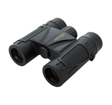 Omegon Fernglas Geovid Pro SE 10x42