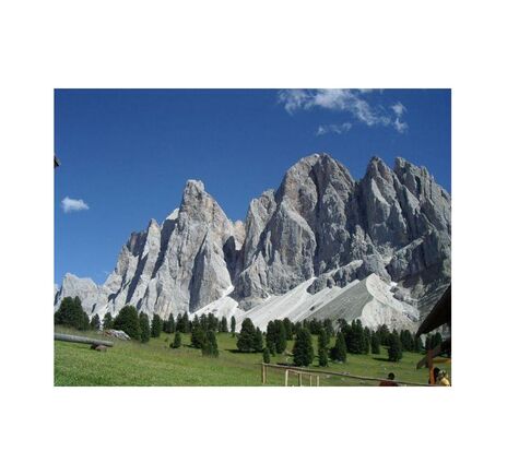 Omegon Fernglas Geovid Pro SE 10x42, image-6