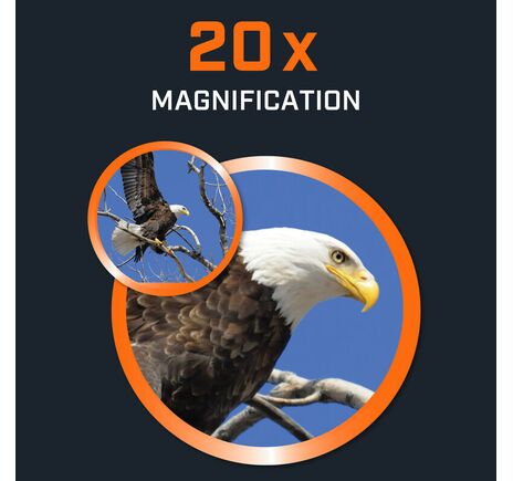 Bushnell Fernglas PowerView 10x50, image-9