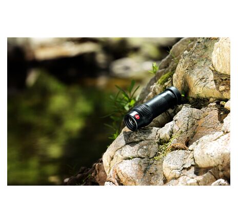 Leica Bildstabilisiertes Fernglas Stabiscope S16x40, image-4