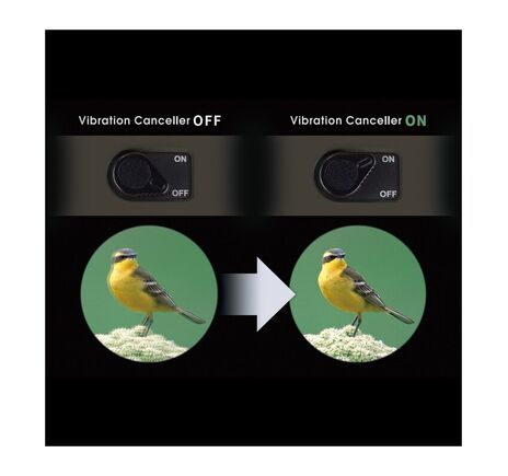 Vixen Fernglas 10x42 ED WP6 Mistral, image-10