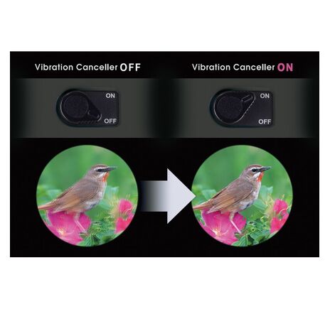 Vixen Fernglas Brightsky 26x82 90° inklusive Gabelmontierung Neptune mit Mittelsäule und Stativ, image-10