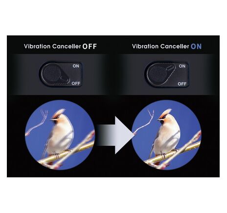 Vixen Fernglas Observer 8x42, image-6