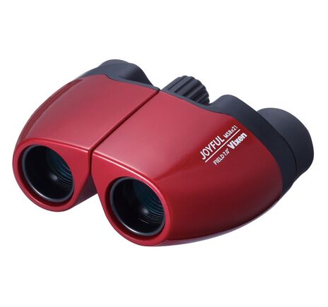 Vixen Bildstabilisiertes Fernglas Bino APC Stabilized 12x30