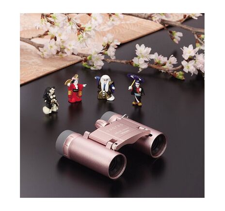 Vixen Fernglas Brightsky ED-APO 30x100 - 90° + Case, image-2