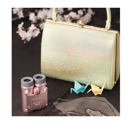 Vixen Fernglas Brightsky ED-APO 30x100 - 90° + Case, image-3