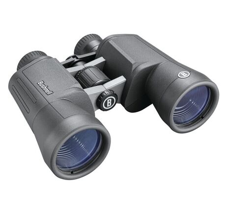 Bushnell Fernglas Geovid Pro 10x32