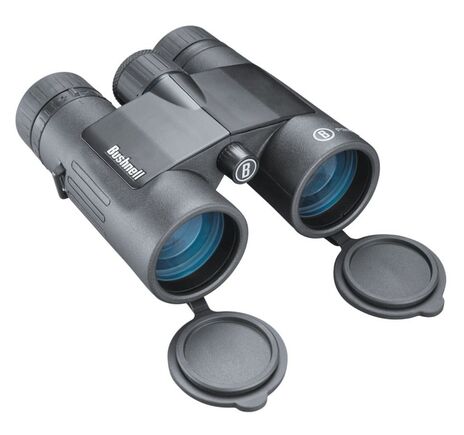 Bushnell Fernglas Ultravid 8x32 HD-Plus