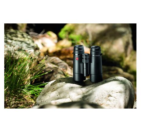 Leica Fernglas 10x50 WP6 Mistral, image-3