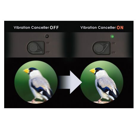 Vixen Fernglas Blackstar 10x42, image-2