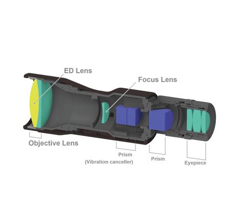 Vixen Fernglas Blackstar 10x42, image-8