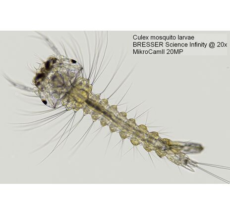 Mikroskopová kamera BRESSER MikroCamII 20 MP 1", image-4