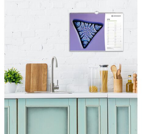 Kalendár BRESSER 2022 Microscopy, image-2