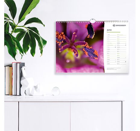 Kalendár BRESSER 2022 Microscopy, image-3