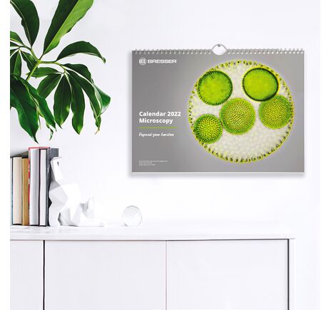Kalendár BRESSER 2022 Microscopy