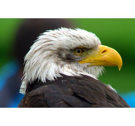 Veľký ďalekohľad Vixen BT-ED70S-A, image-3