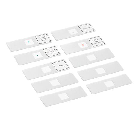 BRESSER JUNIOR Biotar 300x–1200x - biologický mikroskop bez kufríka, image-6