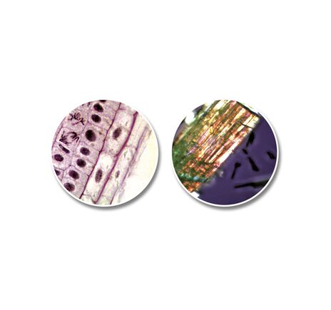 Kompaktný teleskop a mikroskop NATIONAL GEOGRAPHIC so smartfónovým držiakom, image-5