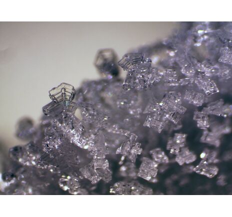 Bresser Erudit ICD Stereomikroskop, image-6