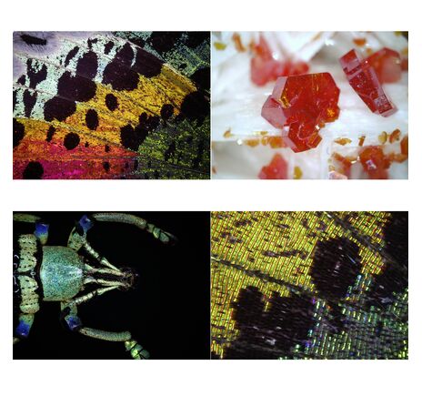 Bresser DST-1028 5MP USB Digitálny mikroskop, image-4