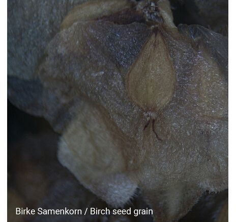 Binokulárny mikroskop NATIONAL GEOGRAPHIC, image-5