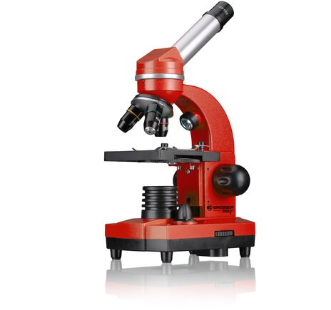 Školský mikroskop BRESSER JUNIOR BIOLUX SEL, image-4