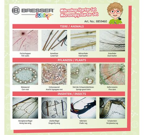 Mikroskopická štartovacia sada BRESSER JUNIOR – 24 preparátov, image-5