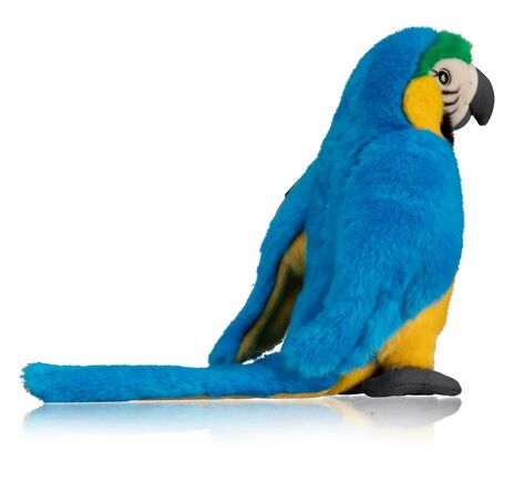 Papagáj Kiara – FREEK VONK x BRESSER, image-3