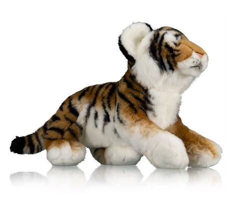 Tiger Raya – FREEK VONK x BRESSER, image-3