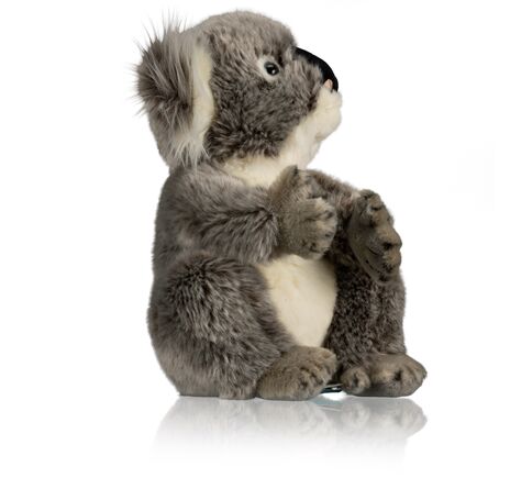 Koala Lola – FREEK VONK x BRESSER, image-3