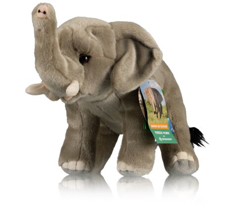 Slon Amara – FREEK VONK x BRESSER, image-2