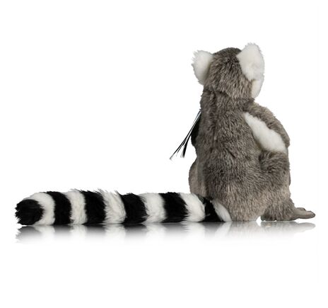 Lemur Katta Baki – FREEK VONK x BRESSER, image-3