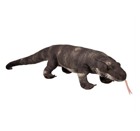 FREEK VONK × BRESSER varan Johan, image-2