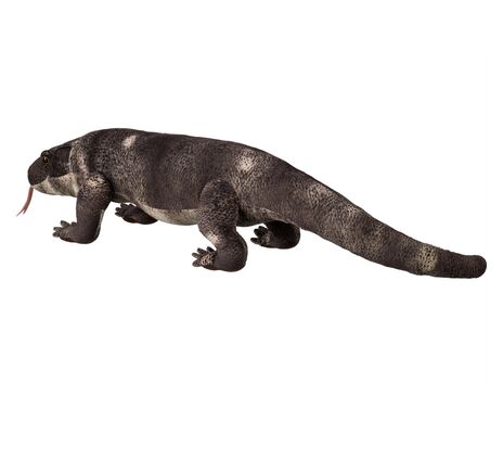 FREEK VONK × BRESSER varan Johan, image-3