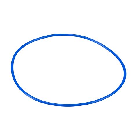 Tesniaci krúžok pre bazénový senzor 7009973, image-3